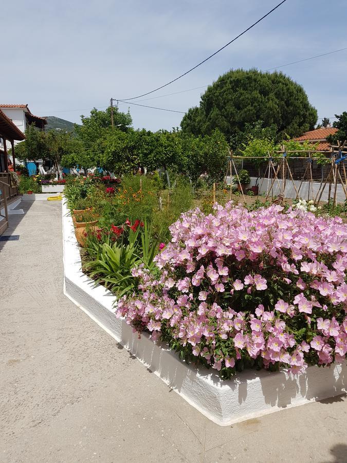 Aparthotel Asimina'S House Skiathos Exterior foto